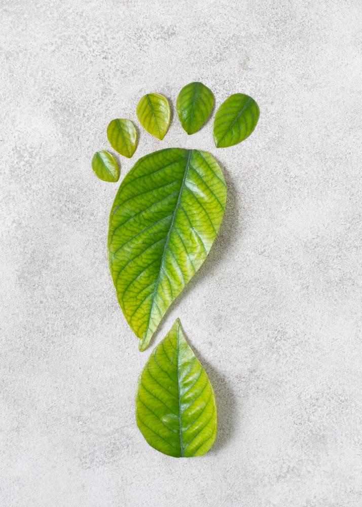 Sustainable technology and green innovation