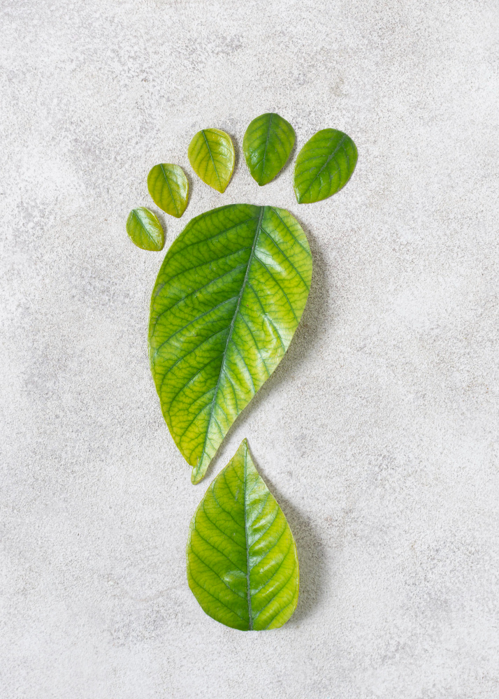 Sustainable Manufacturing